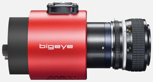 Bigeye G-629B Cool
