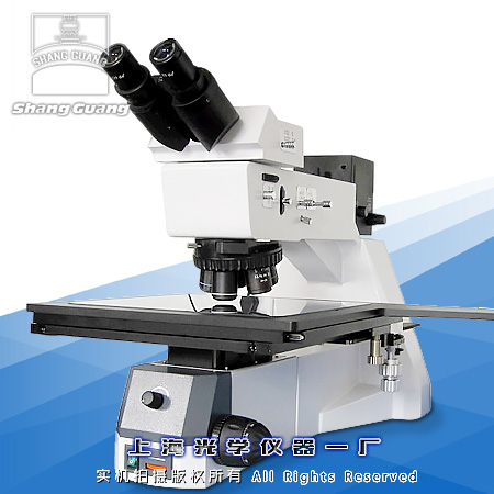 芯片检查显微镜8XB